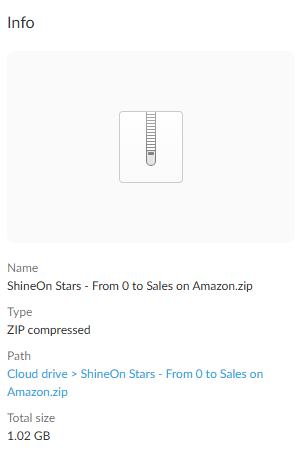 Shineon Stars – From 0 to Sales on Amazon In 30 Days