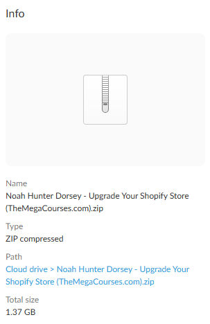 Noah Hunter Dorsey – Upgrade Your Shopify Store